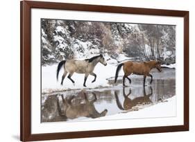 Wintertime, Hideout Ranch, Wyoming. Horses crossing Shell Creek-Darrell Gulin-Framed Photographic Print