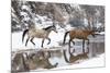 Wintertime, Hideout Ranch, Wyoming. Horses crossing Shell Creek-Darrell Gulin-Mounted Photographic Print