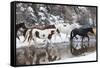 Wintertime Hideout Ranch, Wyoming with horses crossing Shell Creek-Darrell Gulin-Framed Stretched Canvas