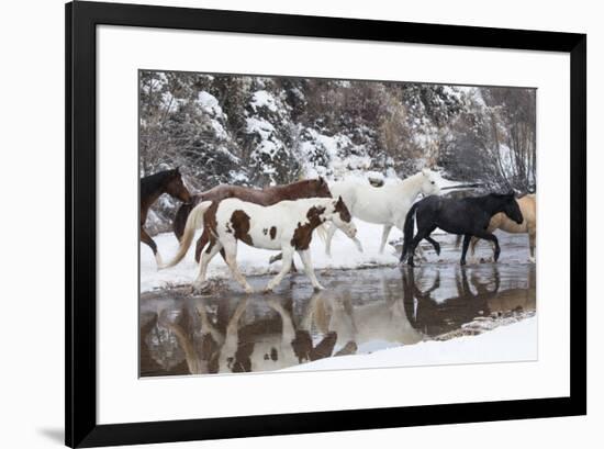 Wintertime Hideout Ranch, Wyoming with horses crossing Shell Creek-Darrell Gulin-Framed Photographic Print