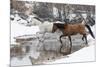 Wintertime Hideout Ranch, Wyoming with horses crossing Shell Creek-Darrell Gulin-Mounted Photographic Print
