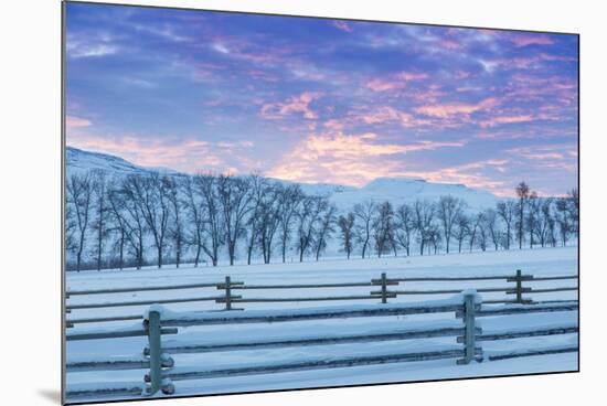 Wintertime sunrise The Hideout Ranch, Shell, Wyoming.-Darrell Gulin-Mounted Photographic Print