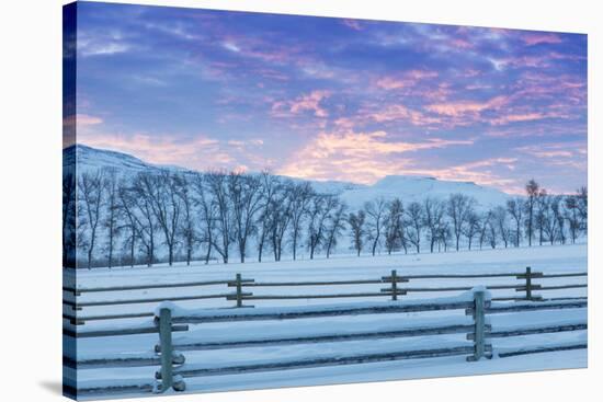 Wintertime sunrise The Hideout Ranch, Shell, Wyoming.-Darrell Gulin-Stretched Canvas