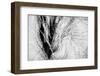 Wintertime-Ursula Abresch-Framed Photographic Print