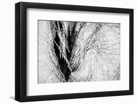 Wintertime-Ursula Abresch-Framed Photographic Print