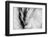 Wintertime-Ursula Abresch-Framed Photographic Print