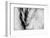 Wintertime-Ursula Abresch-Framed Photographic Print