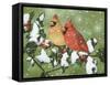 Wintery Cardinals-William Vanderdasson-Framed Stretched Canvas