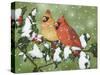 Wintery Cardinals-William Vanderdasson-Stretched Canvas