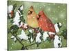 Wintery Cardinals-William Vanderdasson-Stretched Canvas