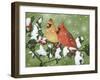 Wintery Cardinals-William Vanderdasson-Framed Giclee Print