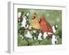 Wintery Cardinals-William Vanderdasson-Framed Giclee Print