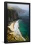 Essential Black