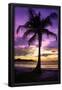 Essential Black
