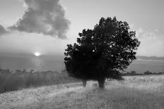 Spitler Knoll Overlook-Winthrope Hiers-Photographic Print