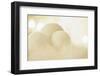 Wintry Background with Stylised Snowballs-Petra Daisenberger-Framed Photographic Print