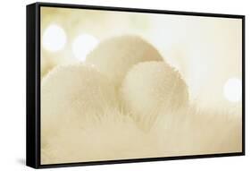 Wintry Background with Stylised Snowballs-Petra Daisenberger-Framed Stretched Canvas