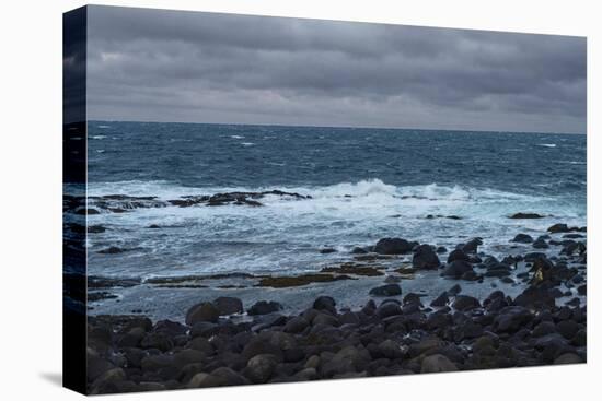 Wintry Coast-Chris Dunker-Stretched Canvas