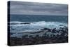 Wintry Coast-Chris Dunker-Stretched Canvas