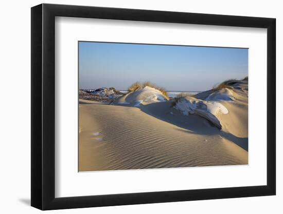 Wintry Dune Landscape Drifting Dune of List on the Island of Sylt in the Evening Light-Uwe Steffens-Framed Photographic Print