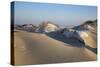 Wintry Dune Landscape Drifting Dune of List on the Island of Sylt in the Evening Light-Uwe Steffens-Stretched Canvas