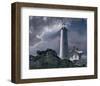 Wintry Hope I-Steve Hunziker-Framed Art Print