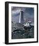 Wintry Hope II-Steve Hunziker-Framed Art Print