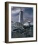 Wintry Hope II-Steve Hunziker-Framed Art Print