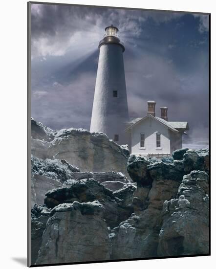 Wintry Hope II-Steve Hunziker-Mounted Art Print