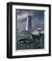 Wintry Hope II-Steve Hunziker-Framed Art Print