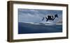 Wintry Runner-Steve Hunziker-Framed Art Print