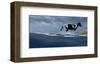 Wintry Runner-Steve Hunziker-Framed Art Print