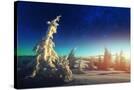 Stretched Canvas