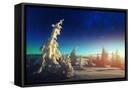 Canvas Black