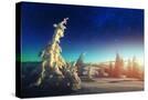 Stretched Canvas