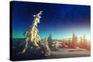 Stretched Canvas