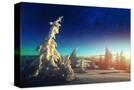 Stretched Canvas