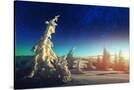 Stretched Canvas