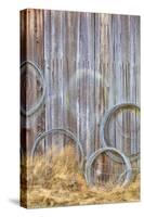 Wire Coiled on Barn Wall, Petersen Farm, Silverdale, Washington, USA-Jaynes Gallery-Stretched Canvas