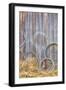 Wire Coiled on Barn Wall, Petersen Farm, Silverdale, Washington, USA-Jaynes Gallery-Framed Photographic Print