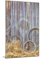 Wire Coiled on Barn Wall, Petersen Farm, Silverdale, Washington, USA-Jaynes Gallery-Mounted Photographic Print