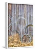 Wire Coiled on Barn Wall, Petersen Farm, Silverdale, Washington, USA-Jaynes Gallery-Framed Photographic Print