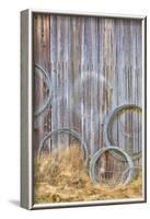 Wire Coiled on Barn Wall, Petersen Farm, Silverdale, Washington, USA-Jaynes Gallery-Framed Photographic Print