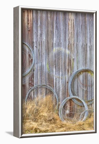 Wire Coiled on Barn Wall, Petersen Farm, Silverdale, Washington, USA-Jaynes Gallery-Framed Photographic Print