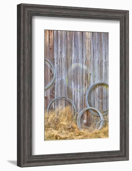 Wire Coiled on Barn Wall, Petersen Farm, Silverdale, Washington, USA-Jaynes Gallery-Framed Photographic Print