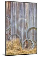 Wire Coiled on Barn Wall, Petersen Farm, Silverdale, Washington, USA-Jaynes Gallery-Mounted Photographic Print