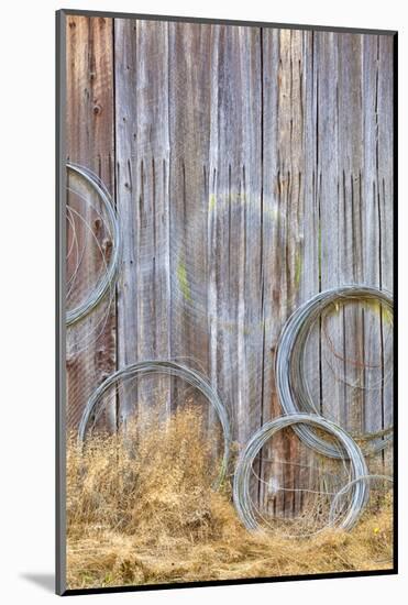 Wire Coiled on Barn Wall, Petersen Farm, Silverdale, Washington, USA-Jaynes Gallery-Mounted Photographic Print