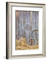 Wire Coiled on Barn Wall, Petersen Farm, Silverdale, Washington, USA-Jaynes Gallery-Framed Photographic Print