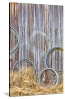 Wire Coiled on Barn Wall, Petersen Farm, Silverdale, Washington, USA-Jaynes Gallery-Stretched Canvas