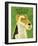 Wire Fox Terrier-John Golden-Framed Giclee Print